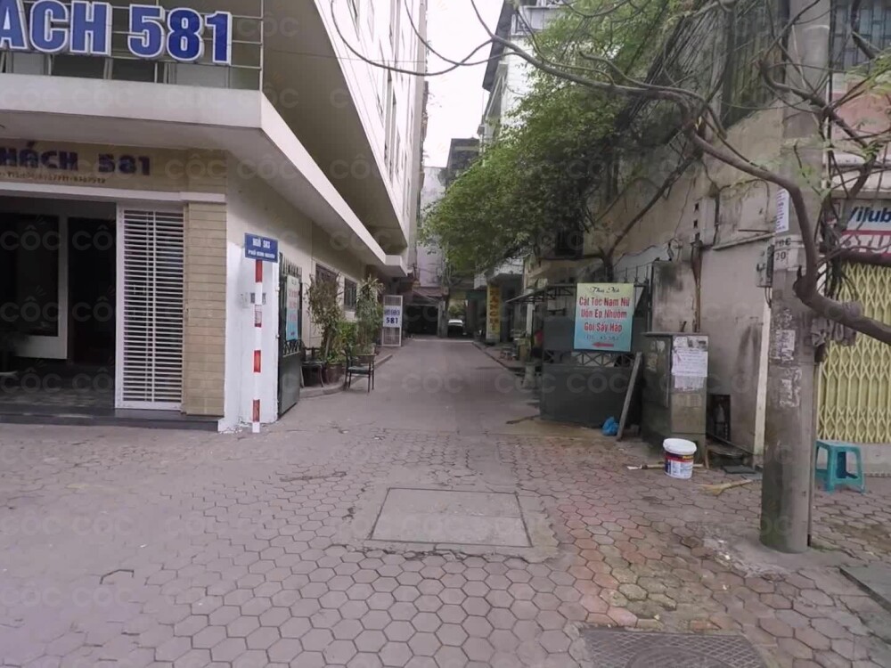 583 Kim Ngưu: Tìm Hiểu Ý Nghĩa, Tính Cách và Vận Mệnh Cung Hoàng Đạo Này